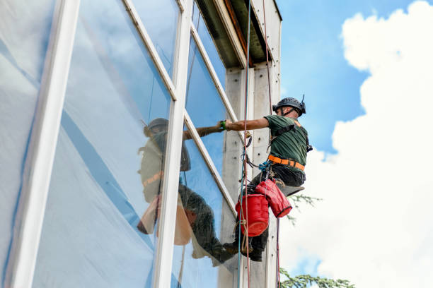 Best Window Glass Replacement  in Mauriceville, TX